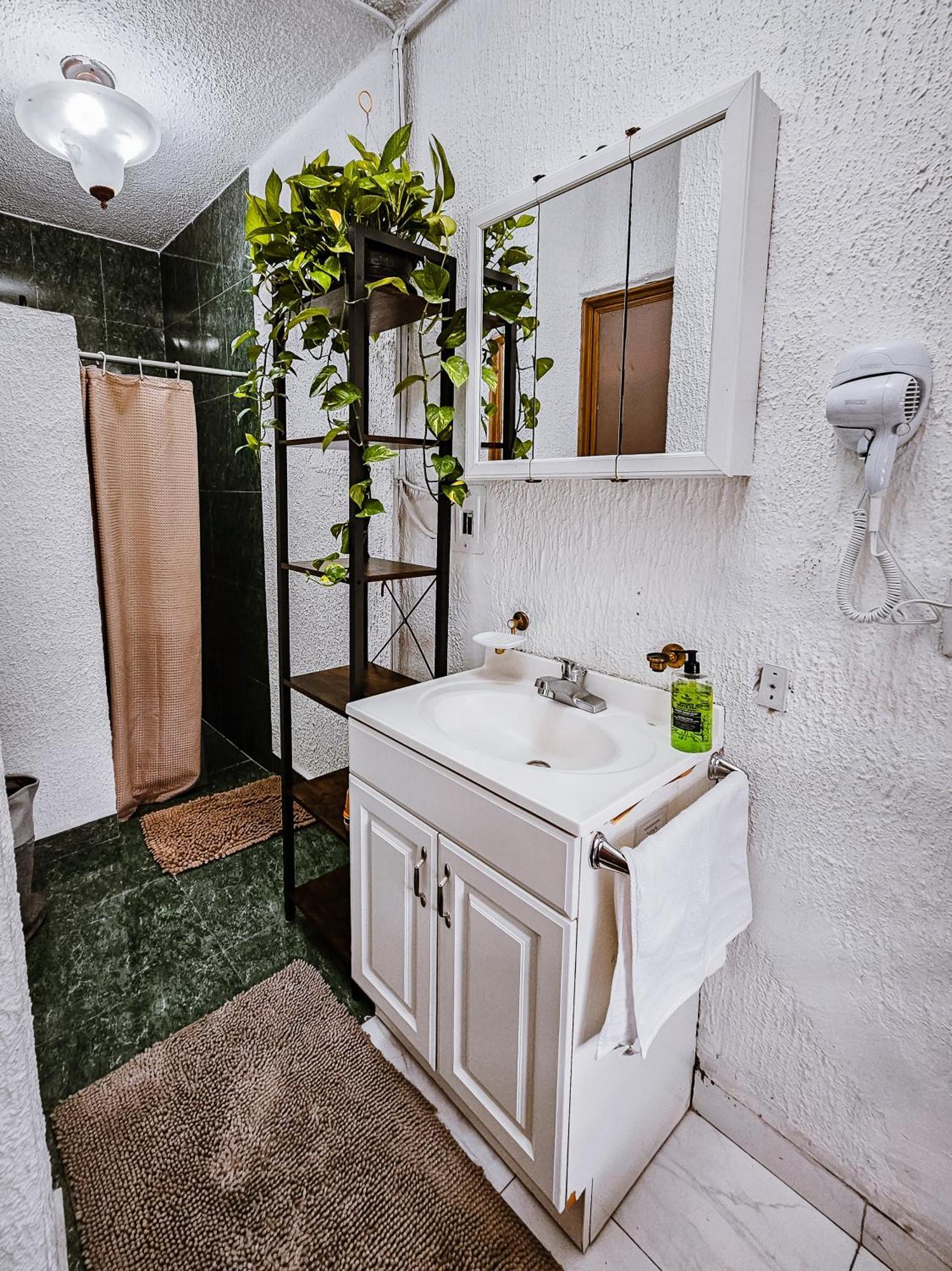 Habitacion Con Bano Privado B, Centro De Coyoacan Meksyk Pokój zdjęcie