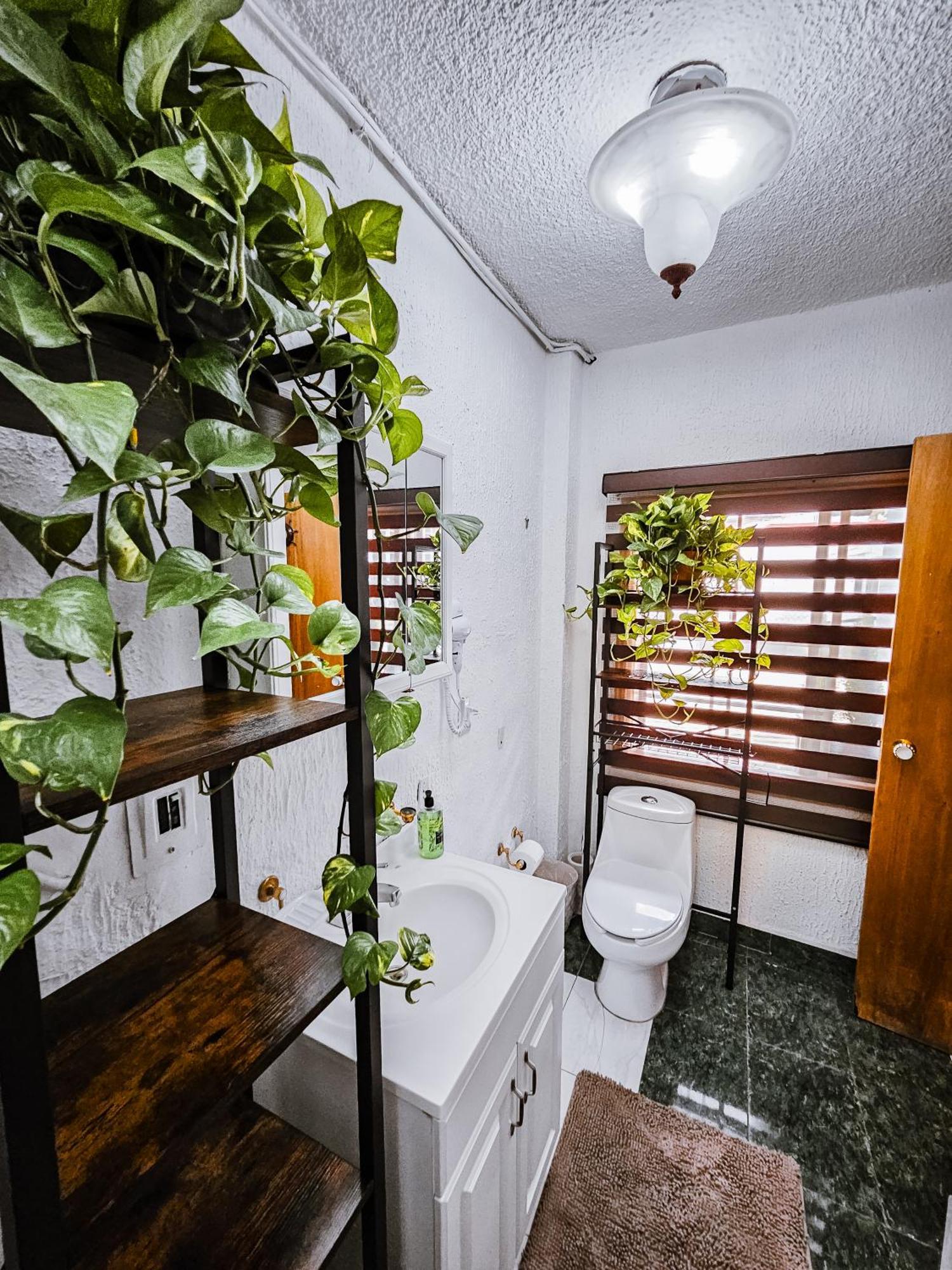 Habitacion Con Bano Privado B, Centro De Coyoacan Meksyk Zewnętrze zdjęcie